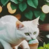 Cat Eating Ice Cream Diamond Painting