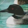 Common Loon Diamond Painting