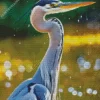 Everglades Heron Diamond Painting