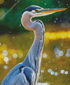 Everglades Heron Diamond Painting