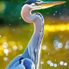 Everglades Heron Diamond Painting