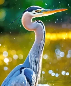 Everglades Heron Diamond Painting