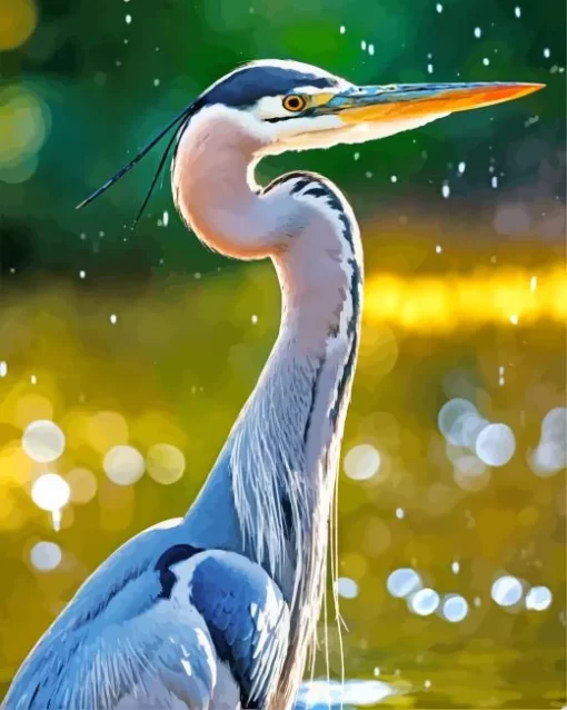 Everglades Heron Diamond Painting