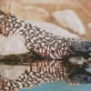 Gila Monster Diamond Painting