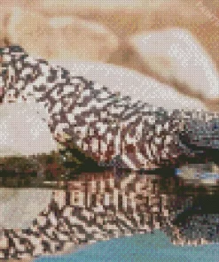 Gila Monster Diamond Painting