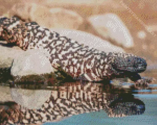 Gila Monster Diamond Painting