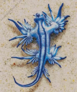 Glaucus Atlanticus Diamond Painting