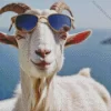 Goat With Sunglasses Diamond Painting