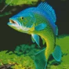 Green Fish Diamond Painting