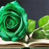 Green Rose Diamond Painting