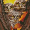 Group Of Owls Autumn Diamond Painting