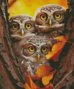 Group Of Owls Autumn Diamond Painting