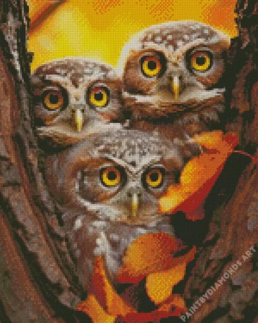 Group Of Owls Autumn Diamond Painting