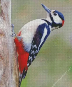 Lonely Great Spotted Woodpecker Diamond Painting