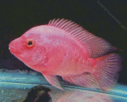 Pink Fish Diamond Painting