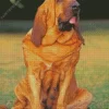 Red Bloodhound Diamond Painting