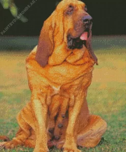 Red Bloodhound Diamond Painting