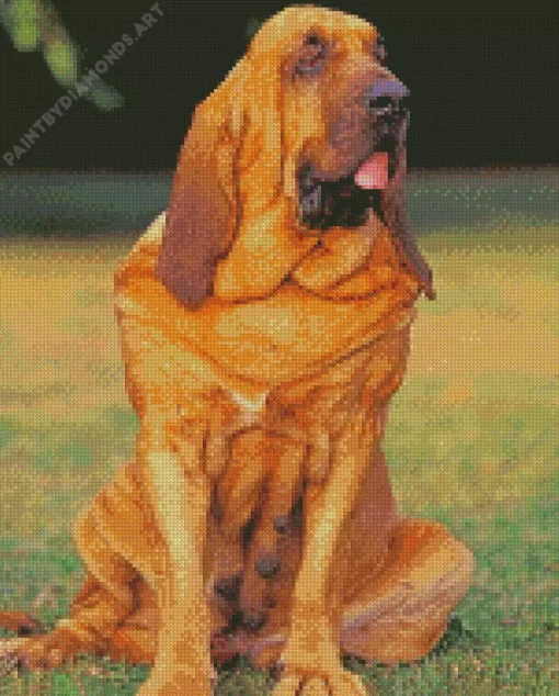 Red Bloodhound Diamond Painting