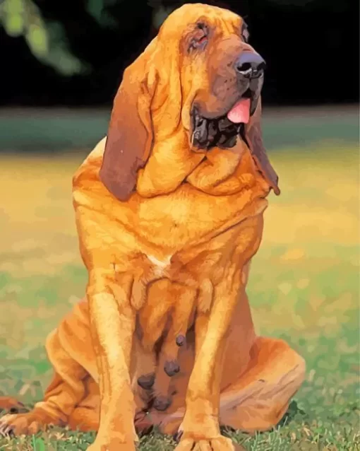 Red Bloodhound Diamond Painting