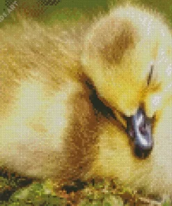 Sleeping Duck Diamond Painting