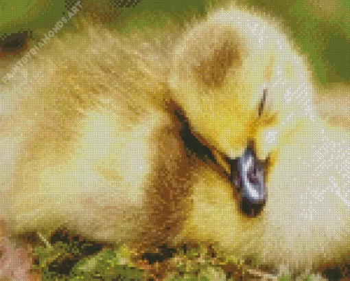 Sleeping Duck Diamond Painting