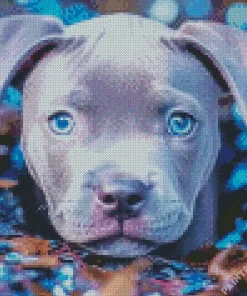 Staffy With Blue Eyes Diamond Painting