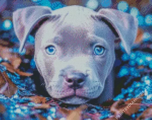 Staffy With Blue Eyes Diamond Painting