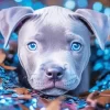 Staffy With Blue Eyes Diamond Painting