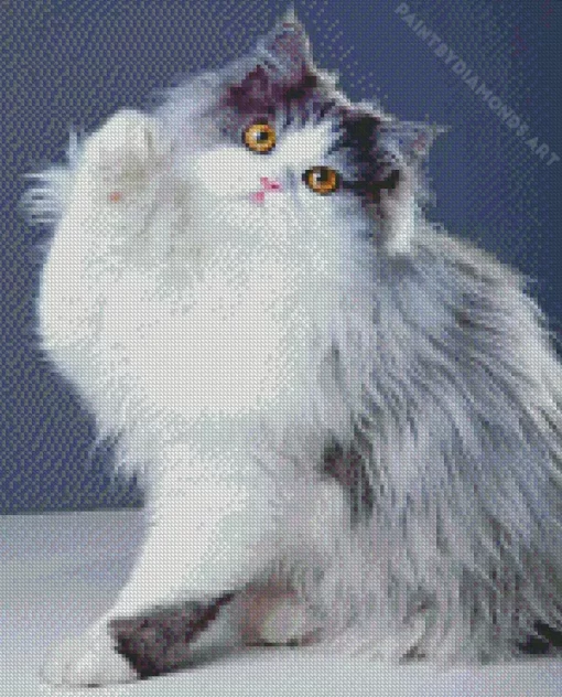 White And Grey Persian Cat Diamond Painting