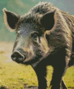 Wild Boar Animal Diamond Painting