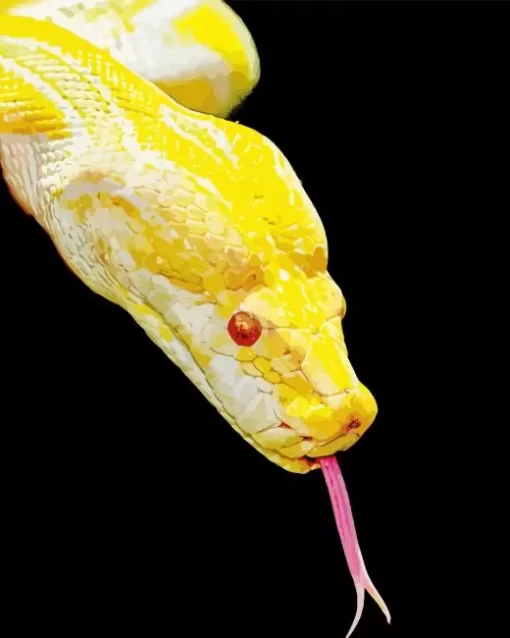 Yellow Python Snake Diamond Painting