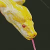 Yellow Python Snake Diamond Painting