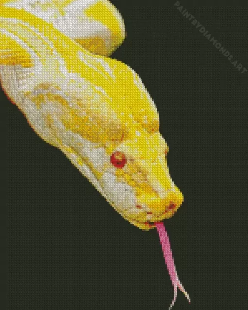 Yellow Python Snake Diamond Painting