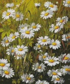 A Field of White Daisies Diamond Painting