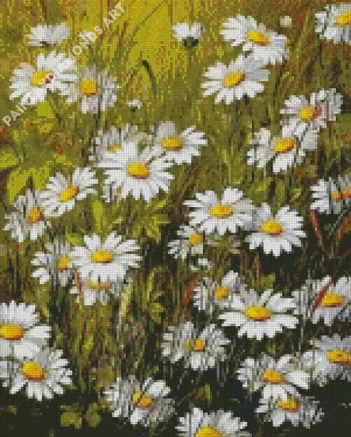 A Field of White Daisies Diamond Painting