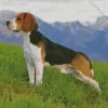 Beagle Hound Dog Diamond Painting