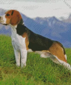 Beagle Hound Dog Diamond Painting