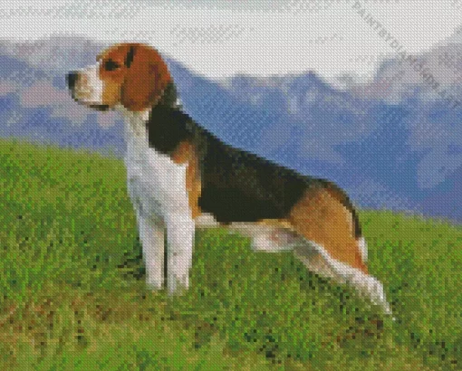 Beagle Hound Dog Diamond Painting