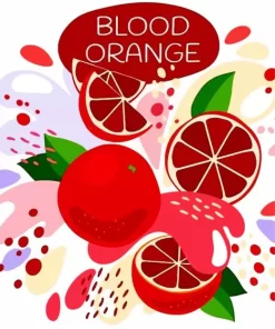 Blood Orange Illustration Diamond Painting