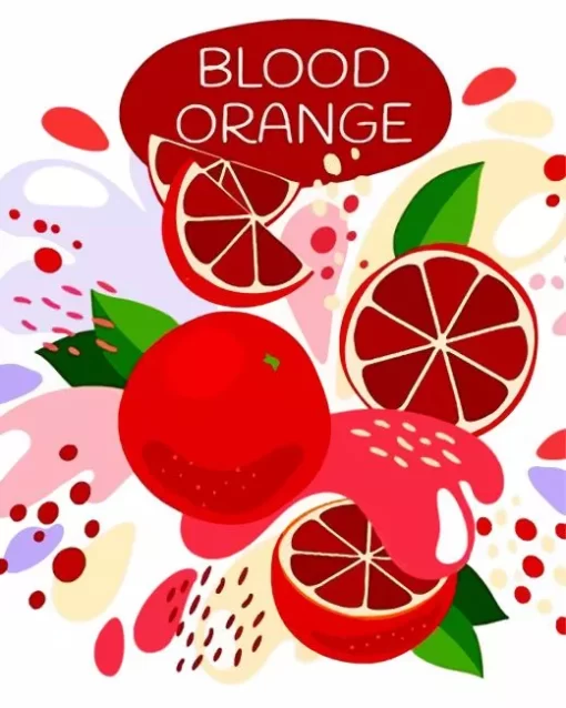 Blood Orange Illustration Diamond Painting