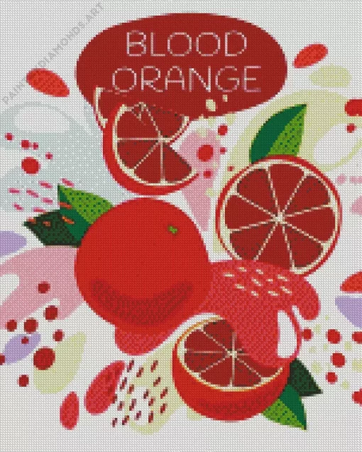 Blood Orange Illustration Diamond Painting