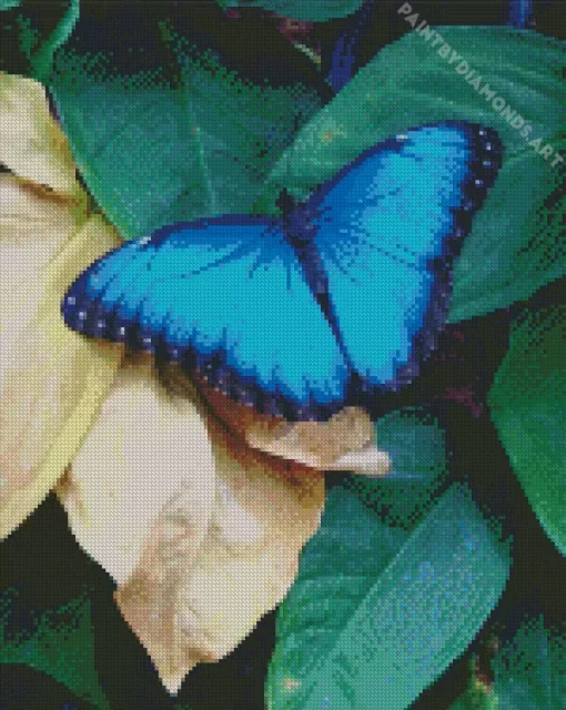 Blue And Black Butterfly Diamond Painting