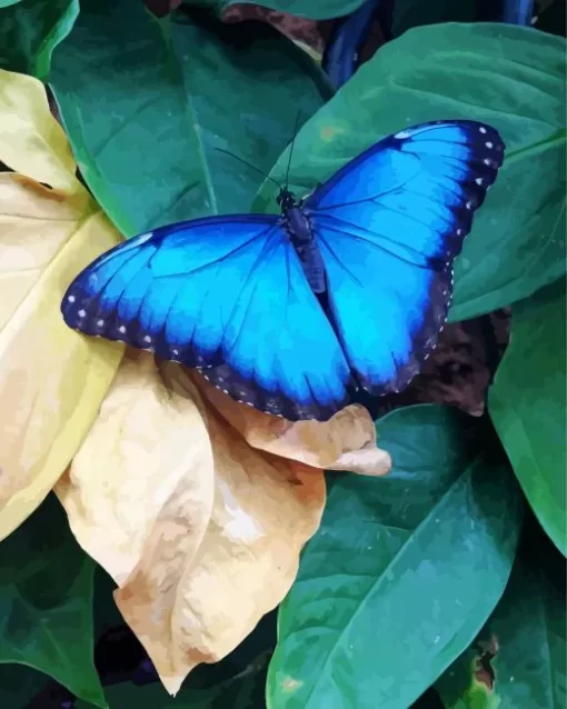 Blue And Black Butterfly Diamond Painting