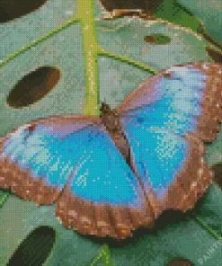 Blue And Black Butterfly On Leaf Diamond Painting