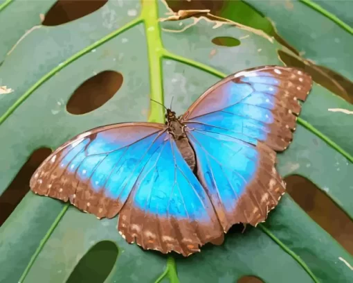 Blue And Black Butterfly On Leaf Diamond Painting