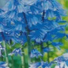 Bluebells Flowering Plants Diamond Painting