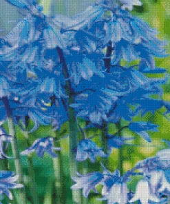 Bluebells Flowering Plants Diamond Painting