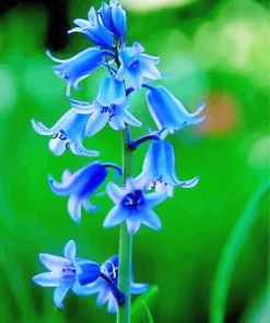 Bluebells Plants Diamond Painting