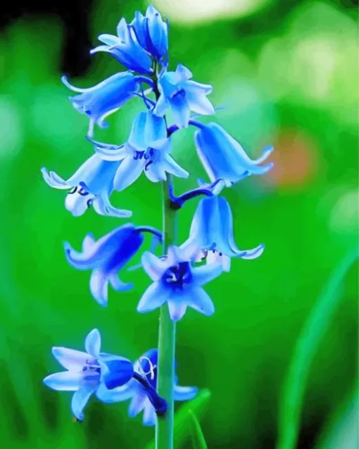 Bluebells Plants Diamond Painting