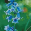 Bluebells Plants Diamond Painting